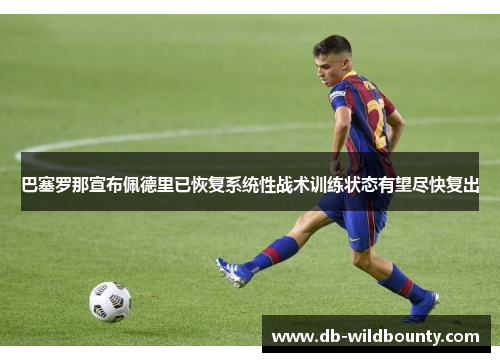 巴塞罗那宣布佩德里已恢复系统性战术训练状态有望尽快复出