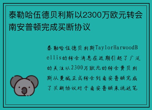 泰勒哈伍德贝利斯以2300万欧元转会南安普顿完成买断协议